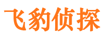 甘泉外遇调查取证